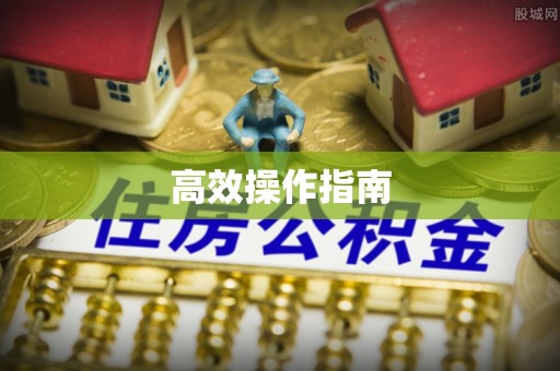隆回高效操作指南
