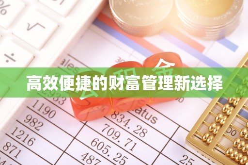 隆回高效便捷的财富管理新选择