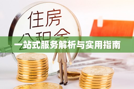 隆回一站式服务解析与实用指南