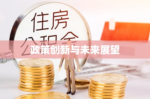 隆回政策创新与未来展望