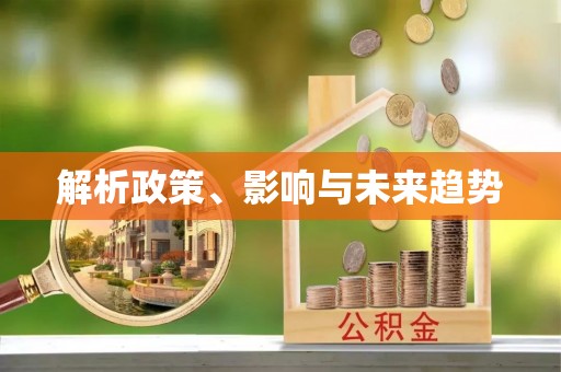 隆回解析政策、影响与未来趋势