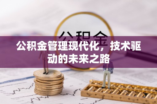 隆回公积金管理现代化，技术驱动的未来之路